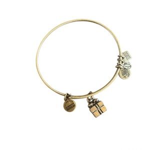 Alex and Ani Gold Present Charm Bracelet